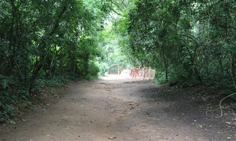 Osogbo Tourism (2021): Best of Osogbo, Nigeria - Tripadvisor