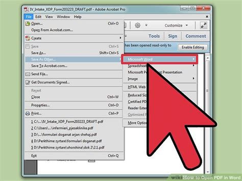 Image result for How to Open PDF without Converting to Word