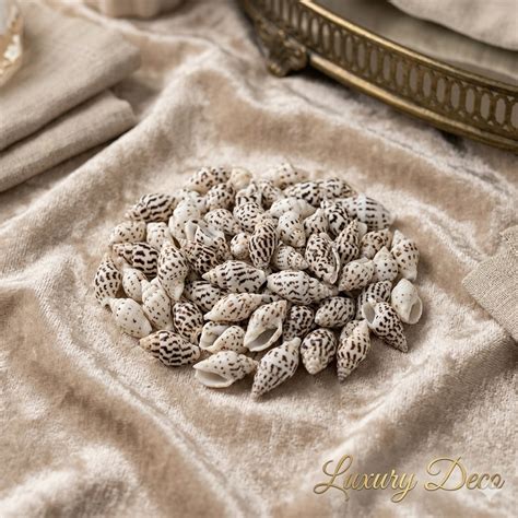 Tiny Sea Shells – Luxury Deco