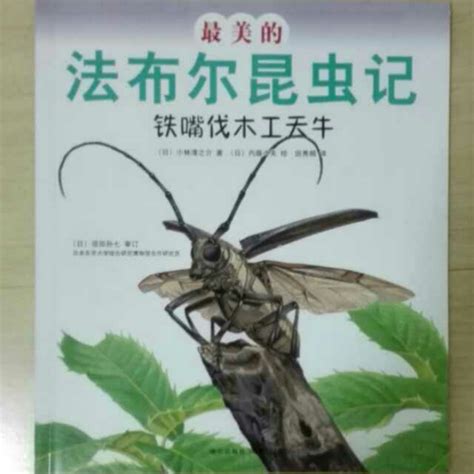 小学生《昆虫记》读后感（精选600字范文）-我爱育娃