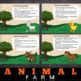 Farm Animals : FACTS - Google Slides Included by Kuma-San Innovation