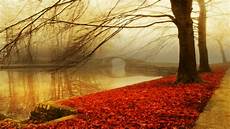 Fall Nature Computer Backgrounds by Nature Fall Wallpapers Wallpaper Cave Fall Nature Computer Backgrounds