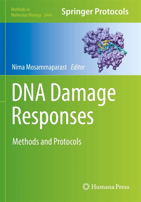 Buy DNA Damage Responses: Methods and Protocols: 2444 (Methods in ...