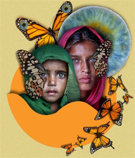 Image result for Butterfly Collage