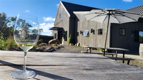 Living Roots Wine & Co. – Unveiling the Wine Gem of Hammondsport, NY ...