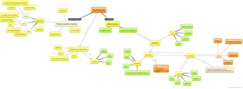 Environment Mind Map 的图像结果