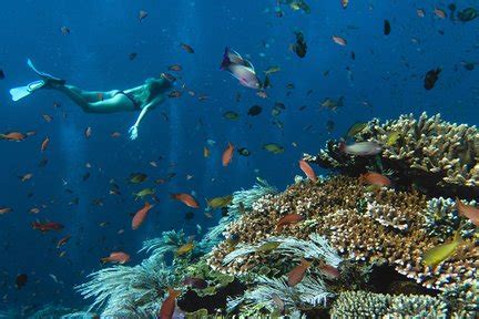 Menjangan Island: Everything You Need Before Visiting