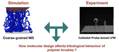Soft Matter and Tribology