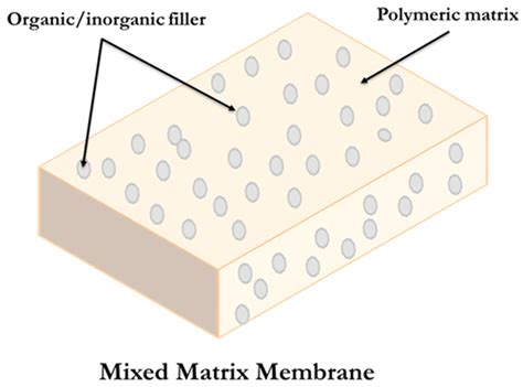 Recent Advances in Membrane-Based Biogas and Biohydrogen Upgrading