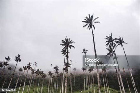 Image result for Editing Script Def
