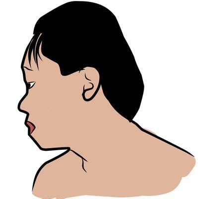 Camera Vector Side Profile 的图像结果