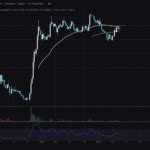 Is This The End of BONK? Technical Analysis Gives Warning Signs