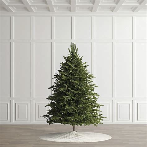Carolina Fraser Fir Quick-Light Tree with Warm White LED Lights & Easy ...