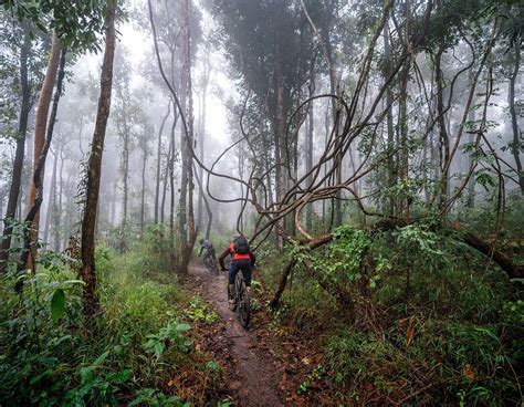 TRAILHEAD (2026) All You Need to Know BEFORE You Go (with Photos ...