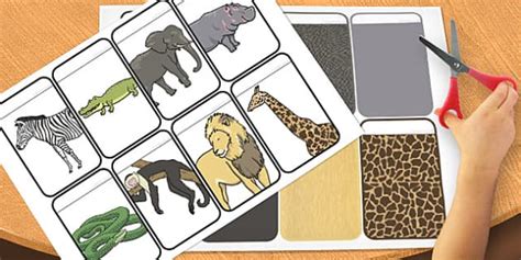 Wild Animals Colour Matching Activity Flashcards - flashcards