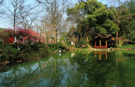 2022杭州植物园门票,杭州杭州植物园游玩攻略,杭州植物园游览攻略路线/地址/门票价格-【去哪儿攻略】