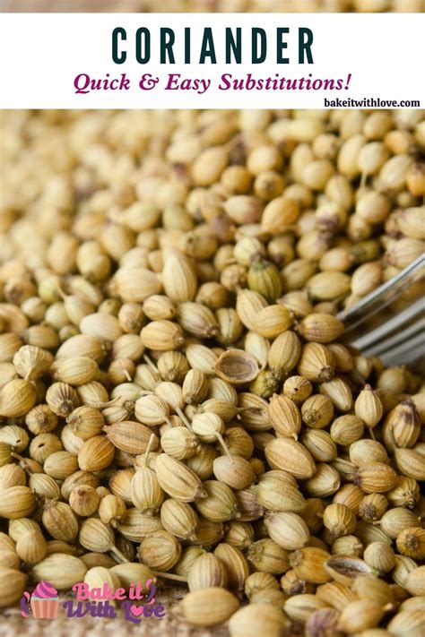 Discover the Best Substitutes for Coriander in Any Recipe