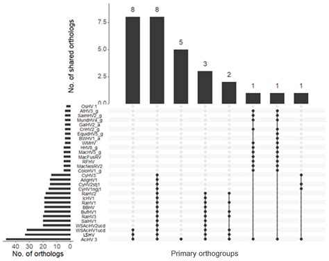 Genomic and Epidemiological Investigations Reveal Chromosomal ...