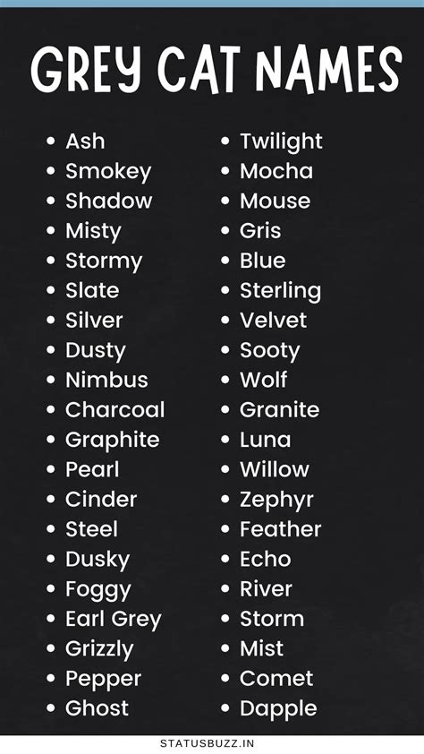 250+ Unique Grey Cat Names - Biz Minds