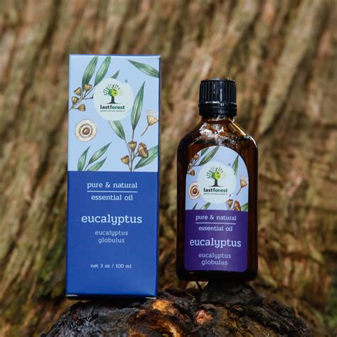 Therapeutic Essential Oil - Eucalyptus (Heals Cold) – Last Forest