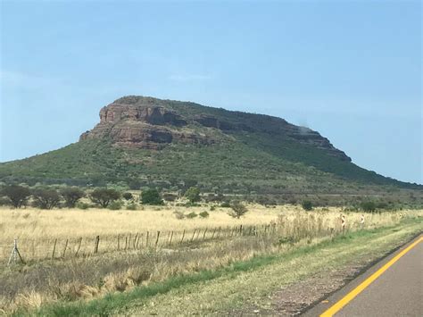 Image result for Pest Control Modimolle