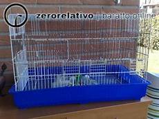 gabbie cocorite gabbie per uccellini cocorite canarini ecc baratto gabbie cocorite gabbie per uccellini cocorite canarini ecc baratto
