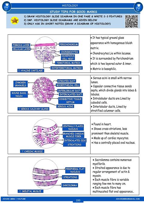 Histology Study Notes for MBBS: Key Diagrams & Features - Studocu