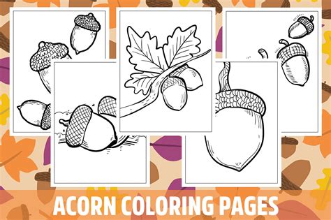 Acorn Coloring Pages for Kids, Girls, Boys, Teens Birthday School ...