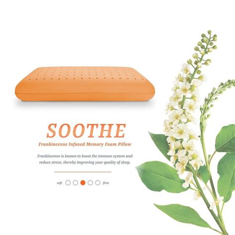 SensorPEDIC Standard Medium Memory Foam Bed Pillow at Lowes.com