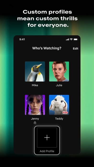 Image result for Add Netflix to My Computer