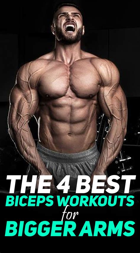 4 Biceps Workouts For Bigger Arms | Fun workouts, Best biceps, Biceps ...
