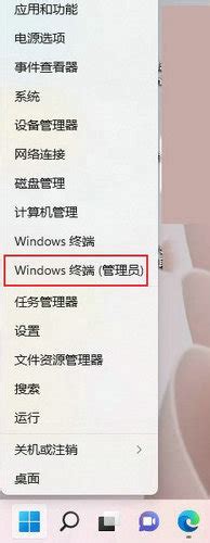 win10如何打开命令行窗口 win10命令行窗口打开方法-大地系统