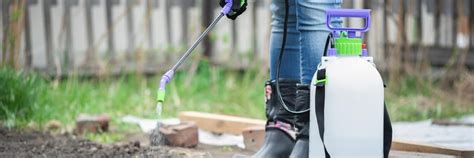 Sprayer Review 的图像结果