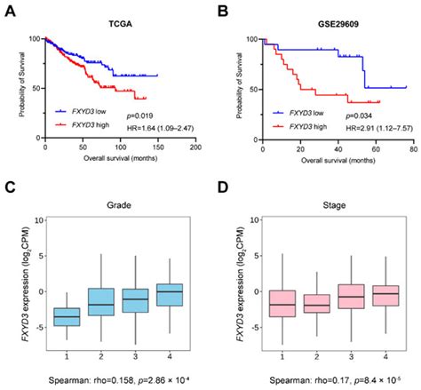 FXYD3 Expression Predicts Poor Prognosis in Renal Cell Carcinoma with ...