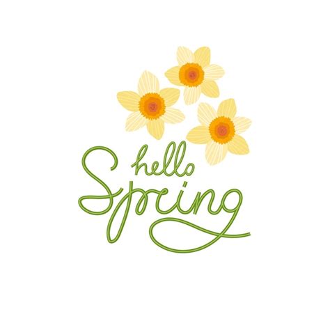 Olá letras de primavera Belas flores de narcisos de primavera Design ...