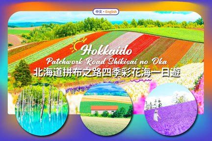 Best things to do in Flower Land Kamifurano, Japan 2025