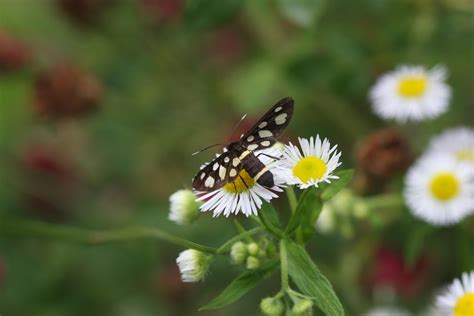 Math Background 4K 的图像结果