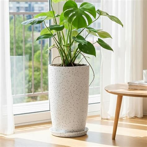 Kraft Seeds Qutub 18 inch Pot for Plant, Polymer Lightweight, Pots for ...