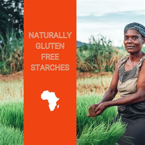 AfricanDelights African Delights Premium Organic Fufu Flour | India | Ubuy