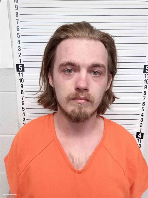 ELLIS JACOB 03/31/2025 - Wayne County Mugshots Zone