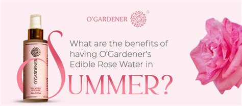 Benefits of having Edible Rose Water in Summer | O'Gardener