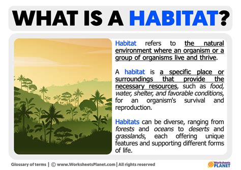 Image result for Habitat Example