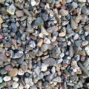 Image result for 砾石 Pea gravel