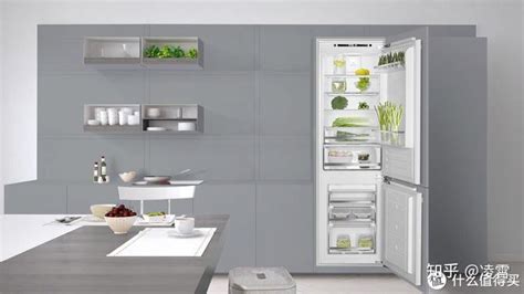 TCL超薄零嵌冰箱发布，再也不用担心嵌入空间的卫生死角了_中华网