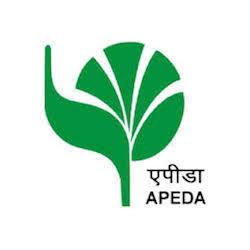 APEDA Certificate