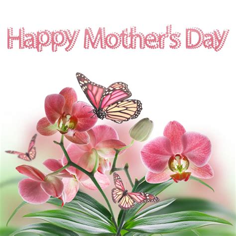 Happy Mothers Day Pictures, Photos, and Images for Facebook, Tumblr ...
