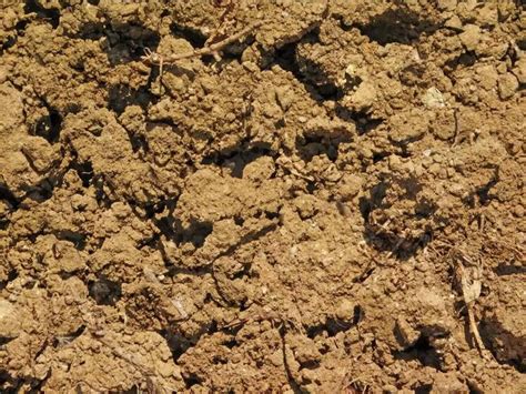 Ground Loop Currents 的图像结果