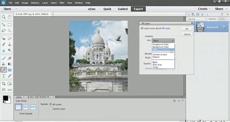 Image result for Adobe Photoshop Elements Tutorials