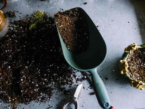 How to Compost with Coffee Grounds