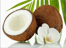 huile de noix de coco pour les cheveux moroccan daily mes 35 utilisations pour l huile de noix huile de noix de coco pour les cheveux moroccan daily mes 35 utilisations pour l huile de noix